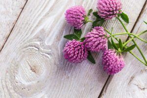 menopause-hot-flushes-symptoms-300x200 menopause-hot-flushes-symptoms-300x200