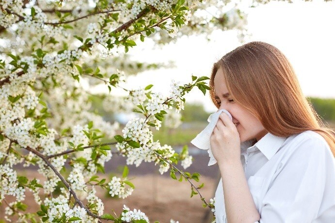 menopause-symptoms-allergies menopause-symptoms-allergies