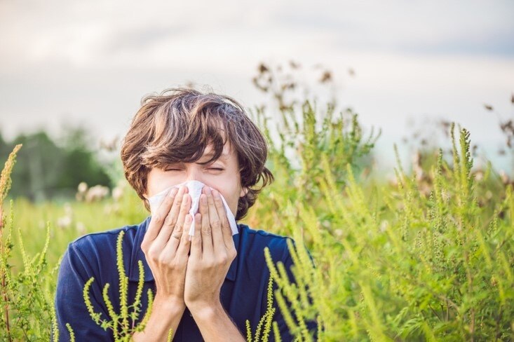 perimenopause-and-allergies perimenopause-and-allergies